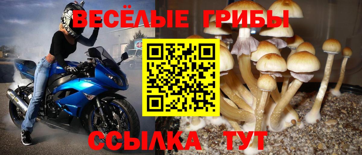 Галлюциногенные грибы Psilocybe Благодарный